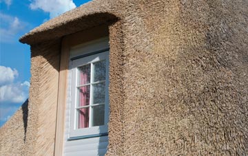 Coates thatch roof disadvantages